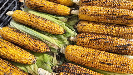 Grilled corn on the cob at a summer outdoor market