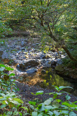 マイナスイオンたっぷりの滝と渓谷