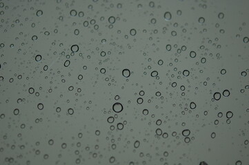 あわあわとした気泡がたくさんある