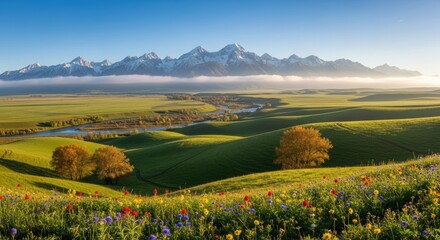 A vibrant green meadow with blooming flowers and a distant mountain range under a clear blue sky.