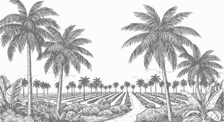 A grayscale illustration of a tropical landscape featuring palm trees, fields, and a path.