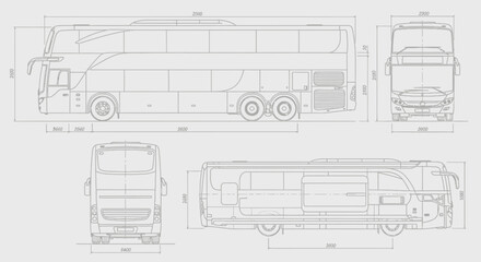 An illustration of a palm tree plantation, with many trees in rows and coconuts scattered on the ground.
