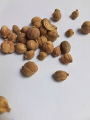 A collection of light brown cardamom pods with unique ridged textures, casually placed on a bright white surface