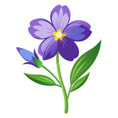  lobelia laxiflora flower vector on white background