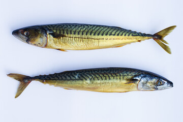two mackerels lie side by side, displaying their vibrant colors and unique patterns on clean surface, ideal for cooking or market display. seafood is always appealing. close up.