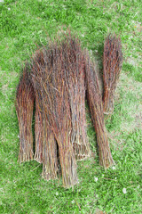 bunches twigs are gathered to form natural brooms. these are commonly used for sweeping and cleaning roadways in outdoor environments. perfect for eco-friendly cleaning methods. close up. vertical.