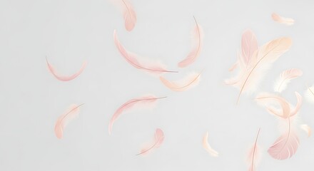 Soft pink feathers gently floating and falling against a light, ethereal background.
