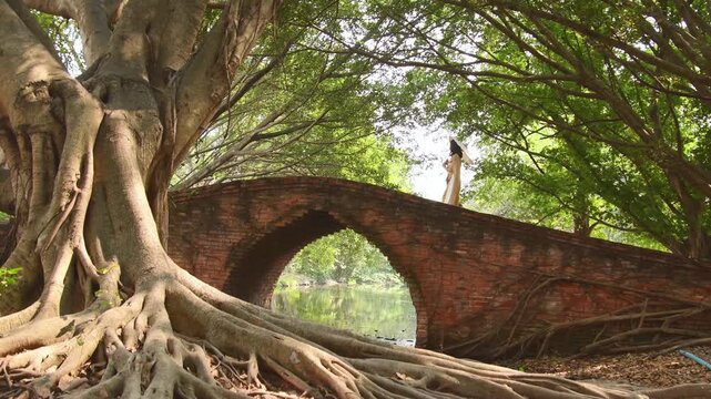 Traditional Thai woman walking over old brick bridge surrounded by giant banyan trees in Ayutthaya Historical Park, Thailand, peaceful heritage scene. Old Brick Bridge of Phra Nakhon Si Ayutthay