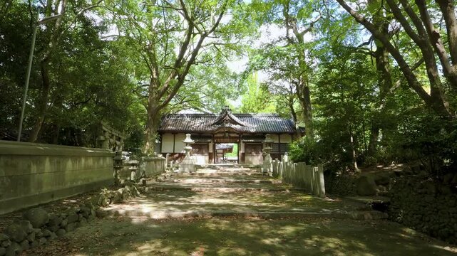 木洩れ日が射し込む伊居太神社の参道