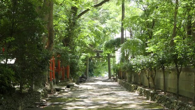 大阪府池田市　伊居太神社の参道と鳥居