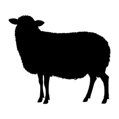 Silhouette of a Sheep on a White Background