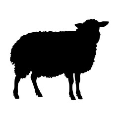 Silhouette of a Sheep on a White Background