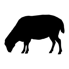 Silhouette of a Sheep on a White Background