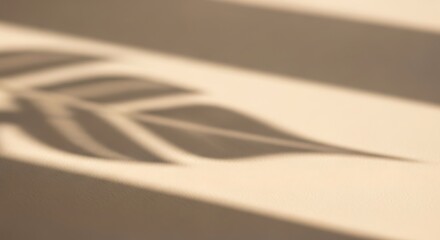 Shadow of a leaf on a beige surface, creating a minimalist and abstract composition.