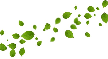 A dynamic scattering of vibrant green leaves against a clean white background, suggesting movement and nature's vitality.