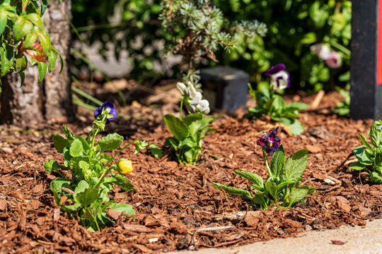 Lawn Aeration, Soil Plugs, Mulch, Wood Chip Texture, Fertilizer Spreader and Lawn Equipment