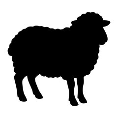 Silhouette of a Sheep on a White Background