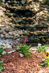 Lawn Aeration, Soil Plugs, Mulch, Wood Chip Texture, Fertilizer Spreader and Lawn Equipment