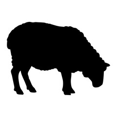 Silhouette of a Sheep on a White Background