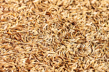 Lawn Aeration, Soil Plugs, Mulch, Wood Chip Texture, Fertilizer Spreader and Lawn Equipment