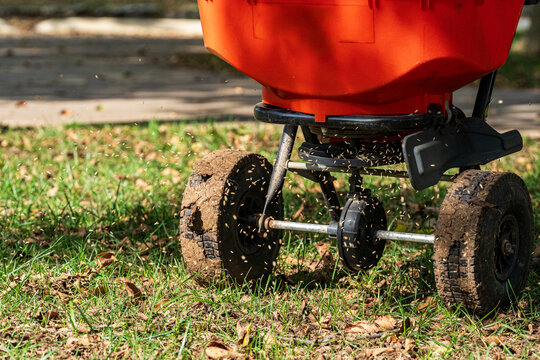 Lawn Aeration, Soil Plugs, Mulch, Wood Chip Texture, Fertilizer Spreader and Lawn Equipment