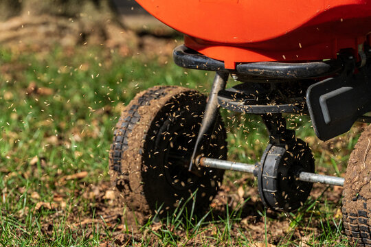 Lawn Aeration, Soil Plugs, Mulch, Wood Chip Texture, Fertilizer Spreader and Lawn Equipment