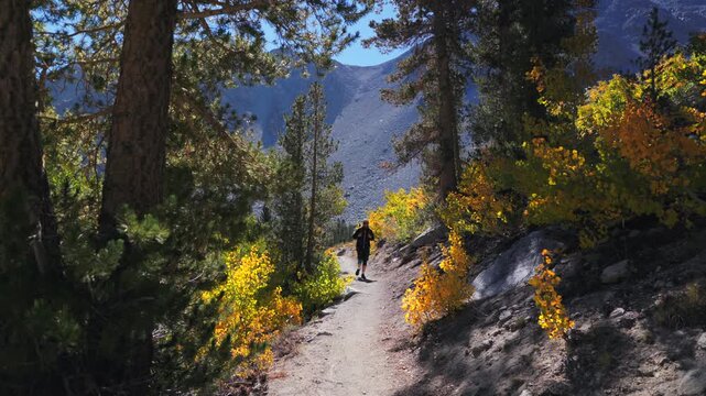 Solo male hiker at picturesque trail, beautifully surrounded by vibrant autumn foliage and majestic mountains, making it perfect for outdoor enthusiasts and devoted nature lovers alike