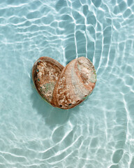 Vibrant abalone shell with iridescent colors with seawater waves at sunlight, gentle ripples and peaceful, oceanic scene. Shiny seashells heart shaped, concept life, relaxation, natural beauty