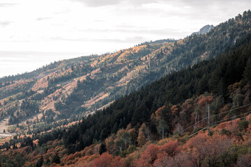 Stormy Autumn Fall Hiking Views at Snowbasin Ski Resort, Huntsville, Utah 