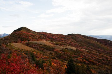 Stormy Autumn Fall Hiking Views at Snowbasin Ski Resort, Huntsville, Utah 