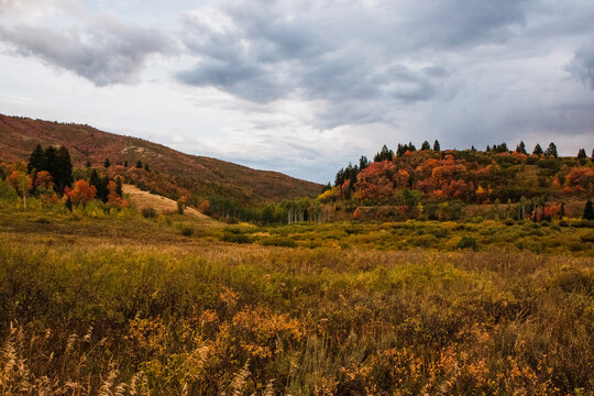 Stormy Autumn Fall Hiking Views at Snowbasin Ski Resort, Huntsville, Utah 