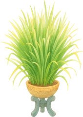 Watercolor Illustration of Lemongrass Plant in Pot