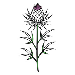 black and white flower