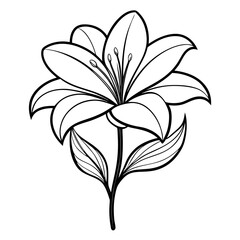 black and white flower 