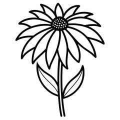 coneflower line art on white background