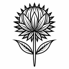 black and white flower isolated