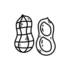 Two Peanuts Doodle Illustration Black Outline Isolated On Transparent Background Hand Drawn Style Design Element for Food and Healthy Lifestyle Concepts