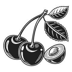 Stylized black and white cherries with leaves and a half cherry