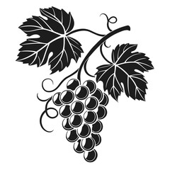 Stylized dark grapes with leaves and tendrils