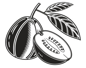 Stylized illustration of a whole and halved feijoa fruit with leaves