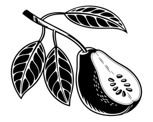 Black and white illustration of a guava fruit on a branch with leaves