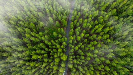 Aerial view of dark green forest road and white electric car Natural landscape and elevated roads Adventure travel and transportation and environmental protection concept	
