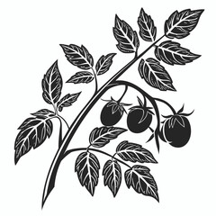 Stylized black and white illustration of a tomato plant branch