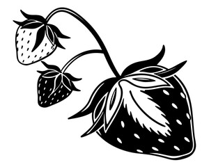 Minimalist black and white strawberries with seed details