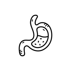 Stomach Anatomy Illustration With Food and Acid Digestive System Black and White Line Art Transparent Background Medical Healthcare Conceptual Graphic