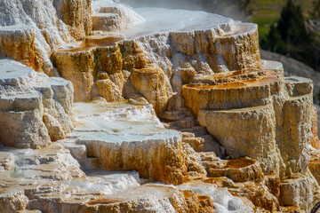 Mammoth Hot Springs