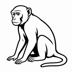 Obraz premium Line art monkey sitting with a neutral expression on a plain background 