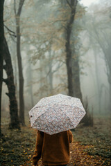Person walking with umbrella in foggy autumn forest