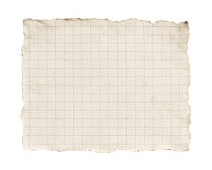 old paper sheet, torn chequered paper on transparent background 