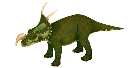 Green dinosaur with horns on white background.